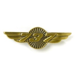 Aile de poitrine BOEING 737