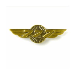 Aile de poitrine BOEING 777