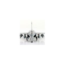 Maquette RAFALE B Opération Chammal French Air Force Dec 2015