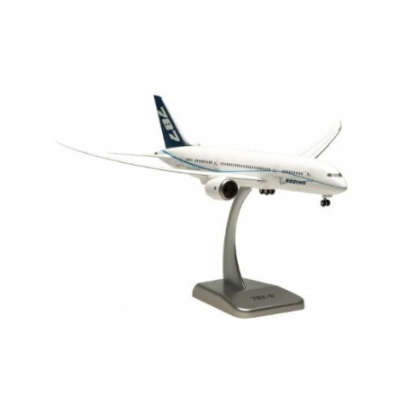 BOEING 787-8 DREAMLINER N787FT (test flight)