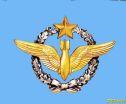 Insigne Frensh Air Force Bomber wings